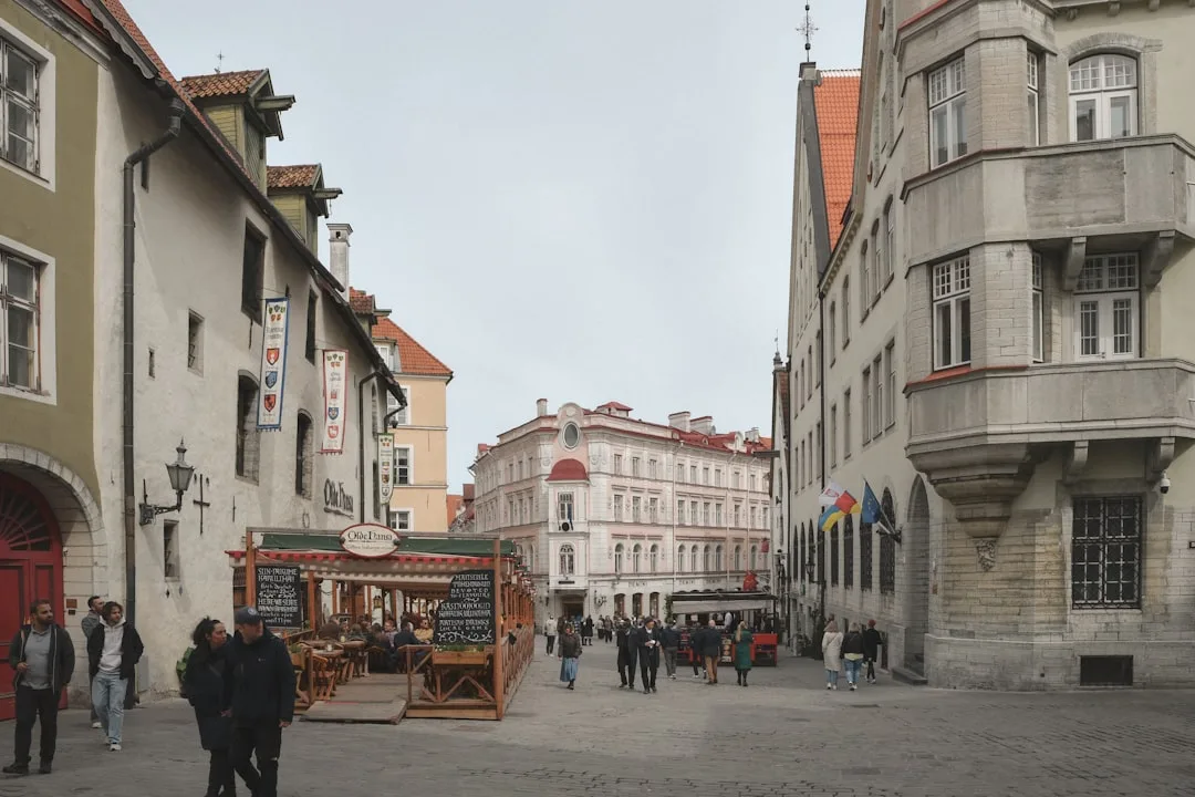 Wittenberger Töpfermarkt: Keramikkunst auf dem Marktplatz