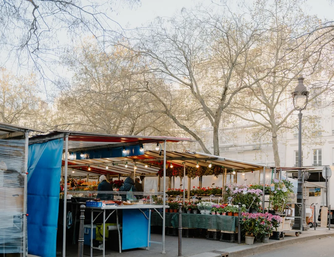 Frickenhäuser Töpfer- und Künstlermarkt