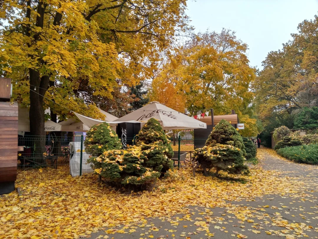 Töpfer- & Herbstmarkt in der Festung Mark Magdeburg