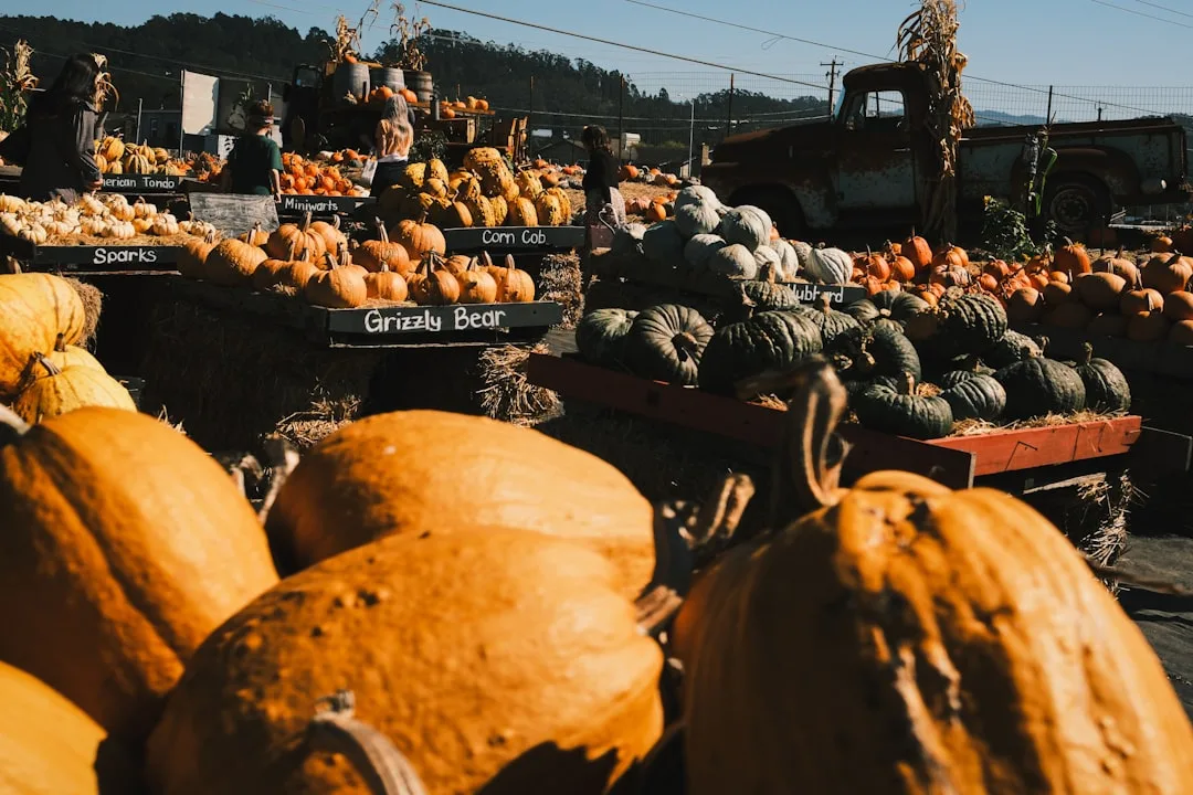 Töpfer- und Handwerkermarkt im Hexenland Sevelen